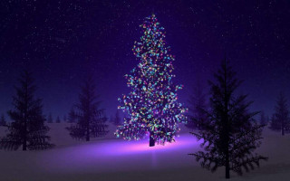 Christmas tree snowy night stars - computer art free wallpaper