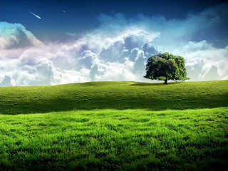 Lone tree grassy hill cloudy 5 - a lone tree free wallpaper