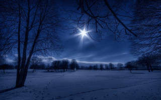 Full moon snowy forest night 3 - space art free wallpaper