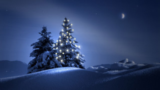 Snowy hill christmas tree moon 2 - dark background free wallpaper
