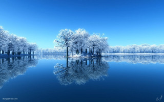 Lake trees blue sky reflection 2 - a reflection of the water free wallpaper