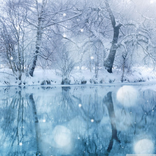 Snowy lake trees snowflakes water - a matte painting free wallpaper