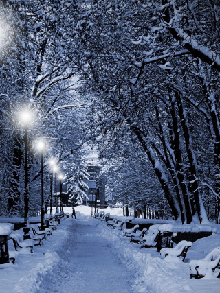 Snowy path benches street lights - free winter wallpaper