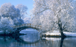 Bridge river snow covered tree - the foreground free wallpaper