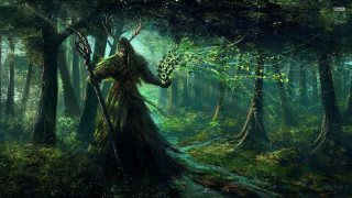 Woman forest staff snake arm - a staff free wallpaper