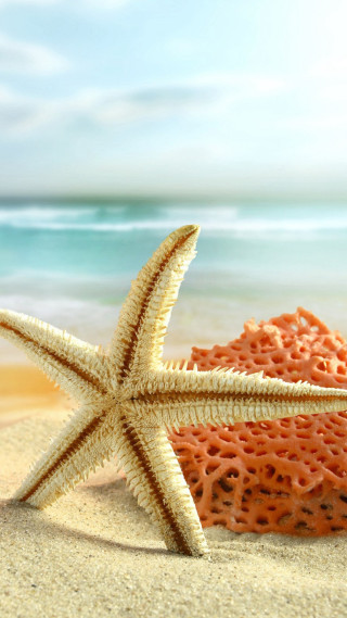 Starfish beach ocean blue sky 2 - a detailed matte painting free wallpaper