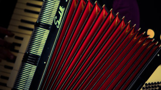 Red accordion closeup person yellow - neofauvism free wallpaper