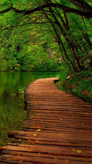 Wooden path water forest trees - impressionist free wallpaper