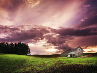 House field cloudy sky tree - sky free wallpaper