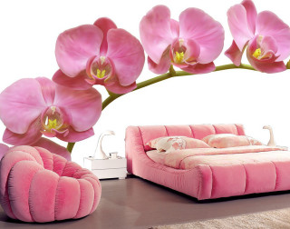 Pink bed swan flower background - rich vivid color free wallpaper