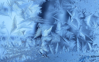 Frosty window leaves blue sky - ice free wallpaper
