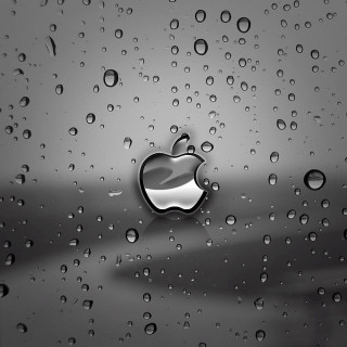 Apple rain water bubbles monochrome - a rain free wallpaper