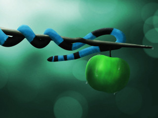 Green apple black blue snake - end free wallpaper