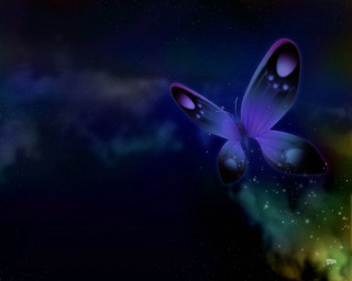 Butterfly flying sky stars blue - dark background free wallpaper for desktop