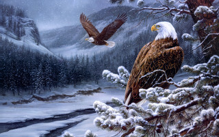 Bald eagles snowy landscape stream - bald free wallpaper