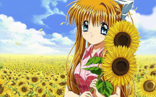 Girl holding sunflower field sky - a girl holding free wallpaper for desktop