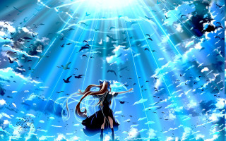 Woman blue sky birds light - bird free wallpaper for desktop
