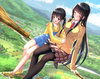 Anime girls broom field flowers - serial art free wallpaper