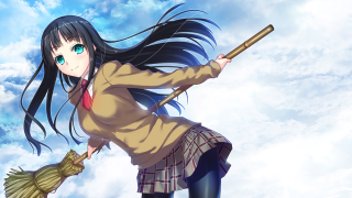 Woman long hair broom brown - a broom free wallpaper