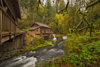 Wooden bridge river forest building - wooden free wallpaper for desktop