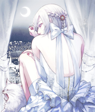Woman white dress sitting bed 3 - a cat in front free wallpaper