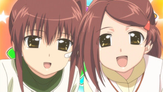 Anime girls brown eyes long - brown eye free wallpaper