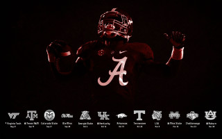 Football player helmet ball hands 2 - a football player free wallpaper