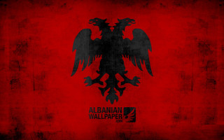 Red wall black eagle black - a black bird free wallpaper
