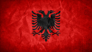 Black red bird red background - left free wallpaper