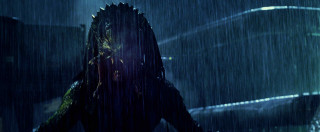 Giant godzilla rain head turned - eye open free wallpaper