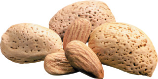 Nuts group sitting white surface - neoplasticism free wallpaper