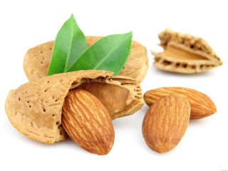 Almonds pile leaf white background - a leaf free wallpaper
