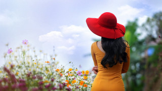 Yellow dress red hat flower - a yellow dress free wallpaper