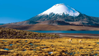 Mountain lake horses snow capped - a matte painting free wallpaper