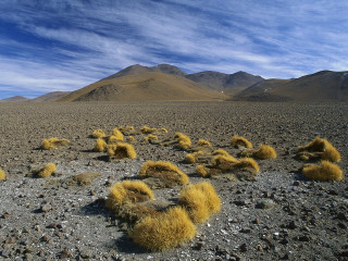 Desert grass mountains blue sky - grass free wallpaper