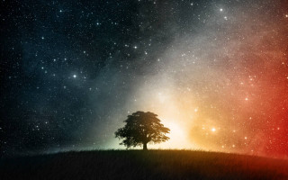 Lone tree hill night sky 4 - a lone tree free wallpaper