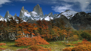 Mountain range trees bushes blue - a mountain range free wallpaper