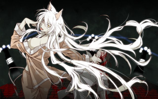 Woman white hair sword demon - a roof free wallpaper