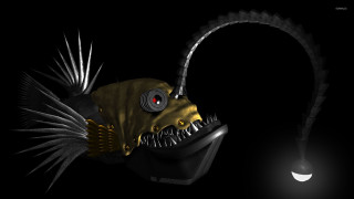 Fish light black background white - lostfish free wallpaper