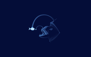 Fish swimming water night light - lostfish free wallpaper