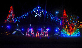Christmas lights park night star - the top of the trees free wallpaper