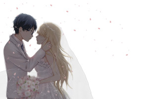 Couple people standing white background 6 - a veil free wallpaper