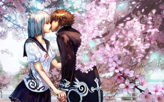 Couple kissing tree pink flowers - a park bench free wallpaper