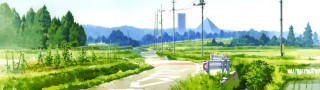 Road sign grassy field trees - a grassy field free wallpaper