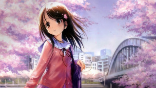 Girl pink dress tree pink - a pink dress free wallpaper