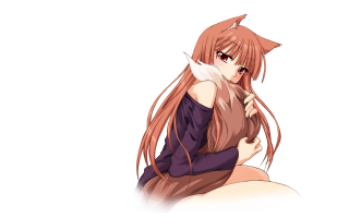 Girl long hair ponytail sitting - long hair and a ponytail free wallpaper