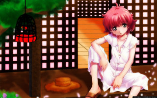 Girl sitting ledged building birdcage - a ledge in front free wallpaper