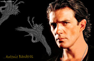 Man black shirt necklace bird - ignacio fernandez rio free wallpaper