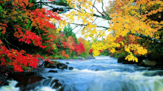 Hudson river autumn leaves impressionist - asher brown durand free wallpaper