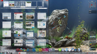 Desktop screen fish plant holography - a desktop computer screen free wallpaper